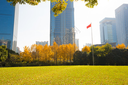 上海地标公园与高楼大厦图片