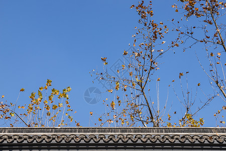 上海桂林公园建筑背景图片