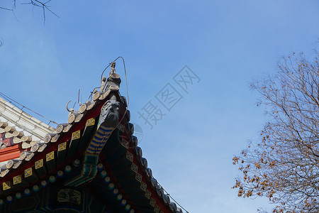 北大里的冬季风景一角背景图片