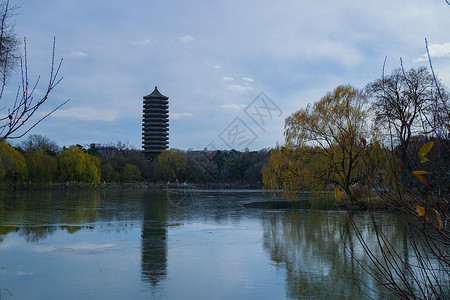 冬天结冰树初冬的北大未名湖湖畔背景