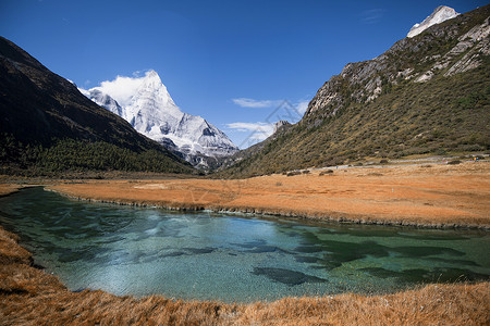 牛场稻城亚丁央迈勇神山背景