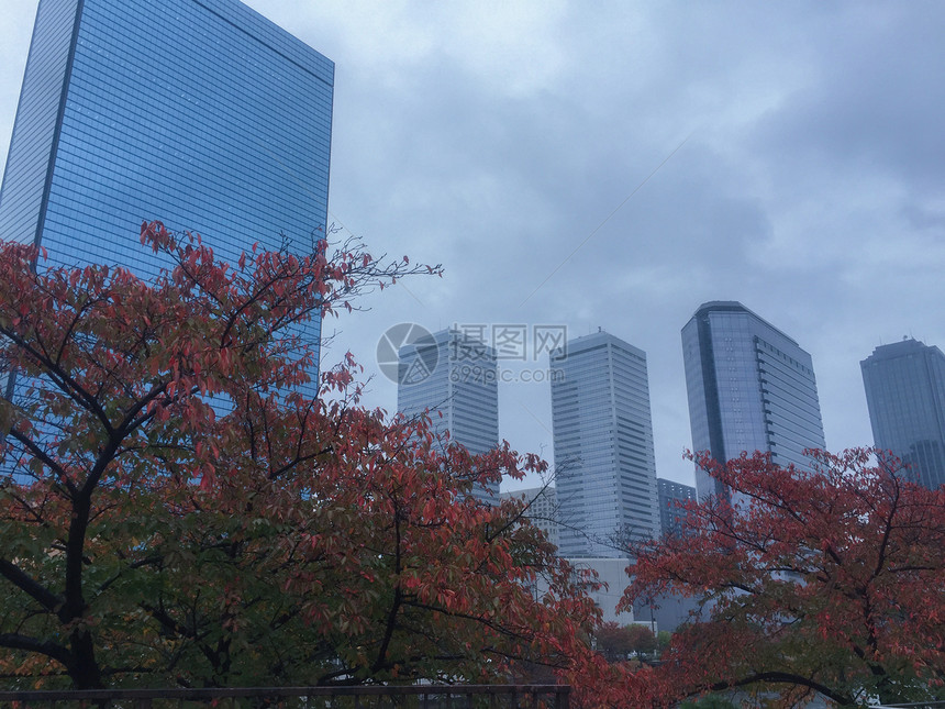 秋天大阪的街景图片