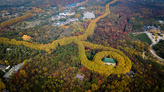 紫金山南麓南京宋美龄项链背景