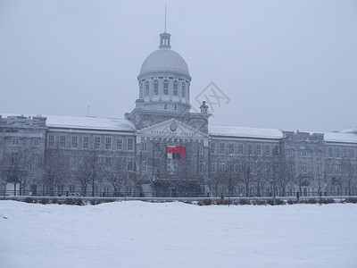 筑地市场冬季暴风雪中的蒙特利尔一景背景