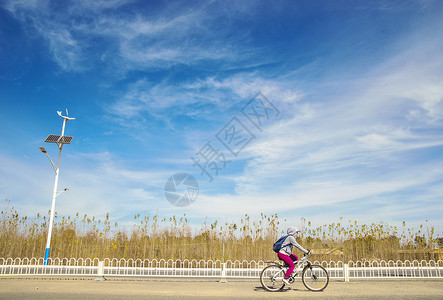 美女公路在公路上骑车的女孩背景