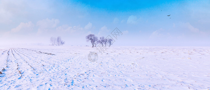 雪地风光冬季高清图片素材
