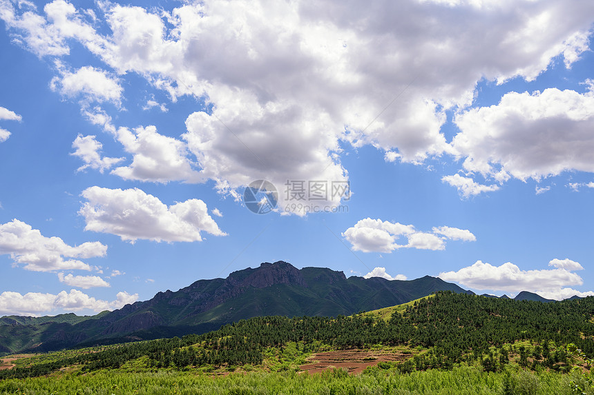 夏季老虎山图片