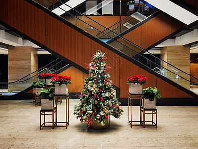 商场里的圣诞树高清图片