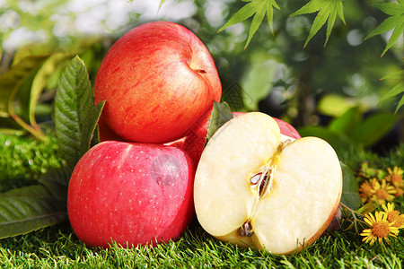 苹果苹果红苹果水果高清图片