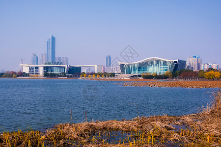 武汉月湖景色图片