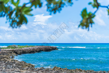 夏威夷海岸夏威夷海龟湾背景