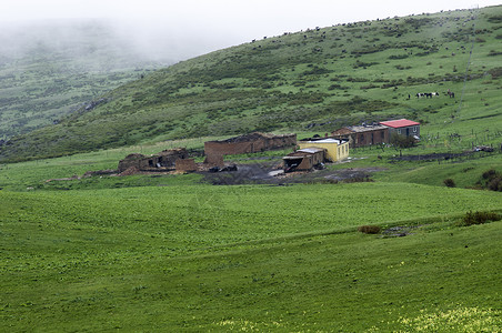 牧民生活新疆塔城牧场草场风光背景