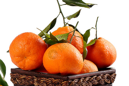丑柑 不知火   果蔬姐妹水果  橙子  柑子背景图片