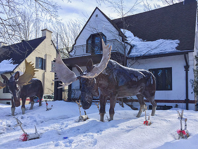 圣诞别墅加拿大蒙特利尔雪景一瞥背景