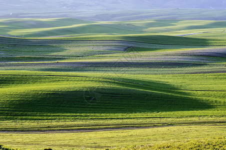 新疆塔城草场牧场线条光影图片