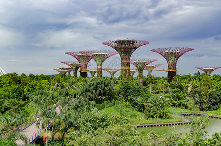 新加坡滨海湾花园高清图片
