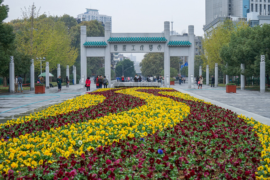 国立武汉大学图片