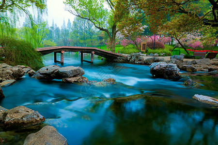 一池春水流照片素材小桥高清图片