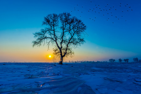 条形蓝色光芒冬日雪地美景背景