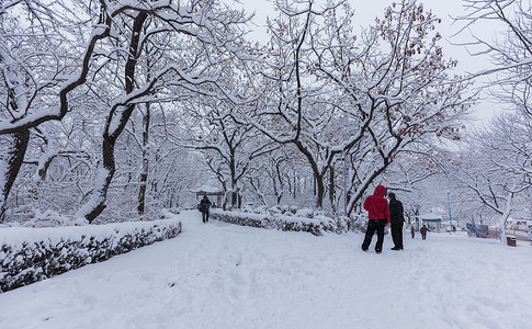 冬天被大雪覆盖的公园景观下雪高清图片素材