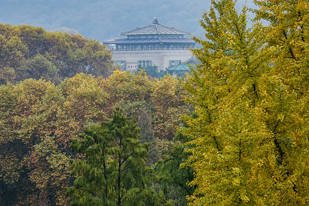 学区武汉大学秋冬景色背景