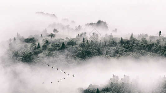 中国风花素材充满中国风的江南水乡雾气景色背景