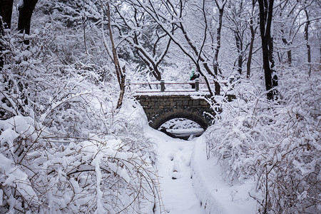 冬天公园里的雪景图片