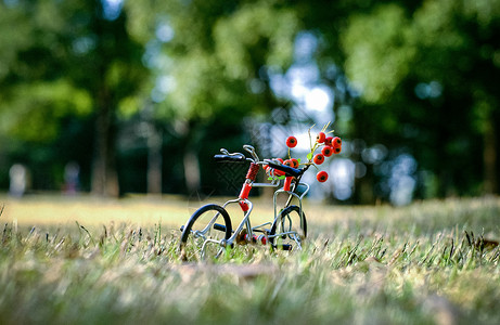 自行车唯美春天绿色草地上的自行车模型背景