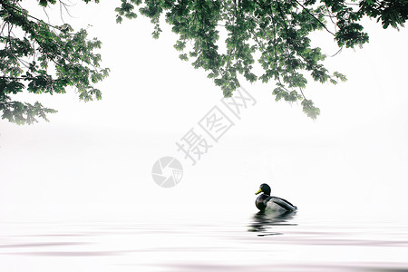 候鸟ps素材中国风韵味水墨山水素材背景