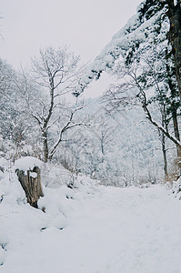 冬季雪景道路图片