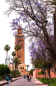 摩洛哥清真寺图片