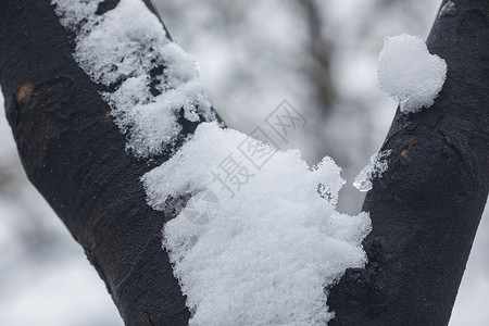 大雪后的城市图片