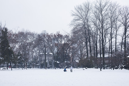 大雪后的公园图片