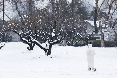 大雪后的风景图片