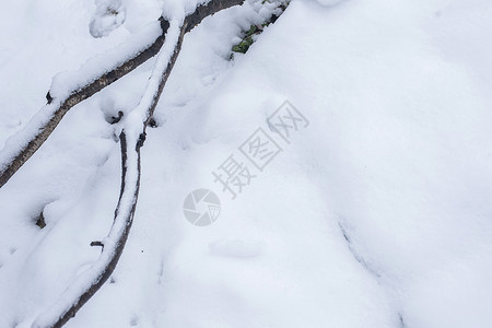 大雪后的风景图片