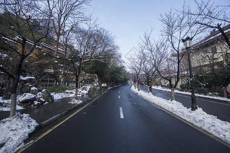 大雪后的城市图片