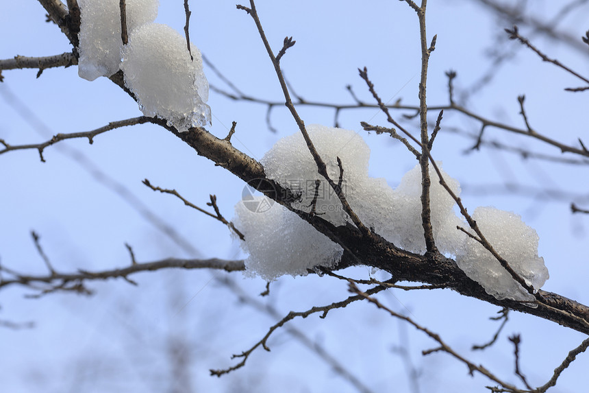 大雪后的城市图片