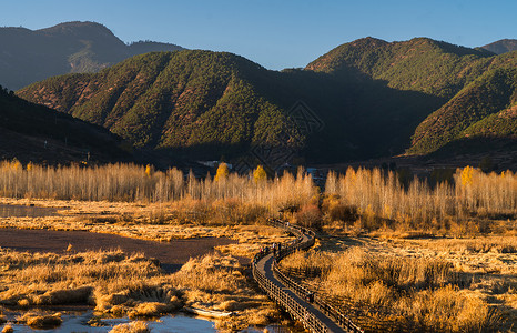 树林远山泸沽湖的走婚桥背景