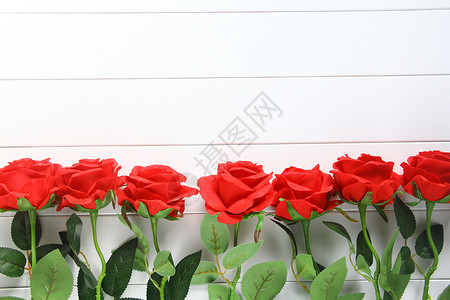 情人节红玫瑰玫瑰花高清图片素材
