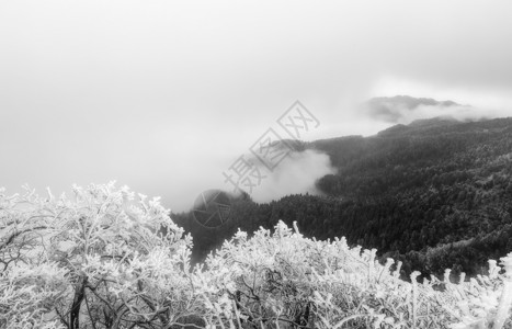 云标签庐山冰雪摄影图片背景