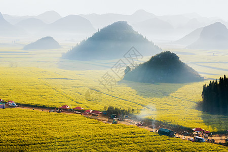 喀斯特地形云南省罗平油菜花晨雾背景