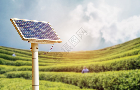 树篱绿色能源太阳能设计图片