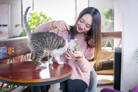 抱着彩球姑娘女孩与猫咪背景