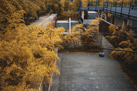 院内景观一角背景图片