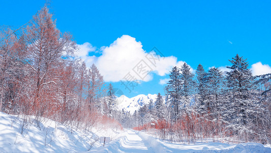 东北滑雪东北雪背景