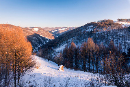 林海雪原背景图片