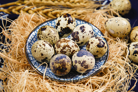 鹌鹑蛋农家鹌鹑蛋掏鸟蛋高清图片