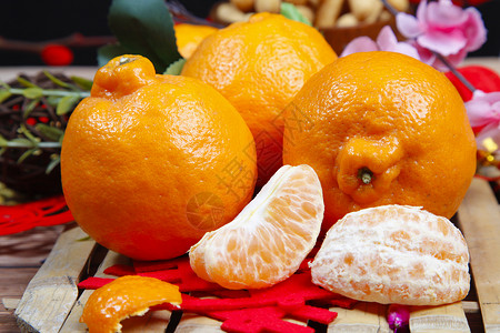 橘柑粑粑柑背景