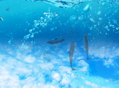 游泳素材高清重叠天空海洋设计图片
