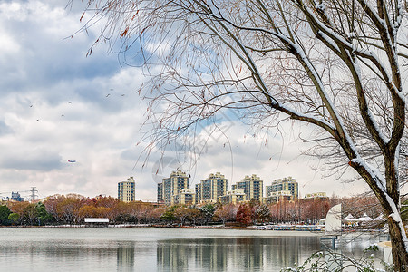 大雪过后的上海城市风格图片